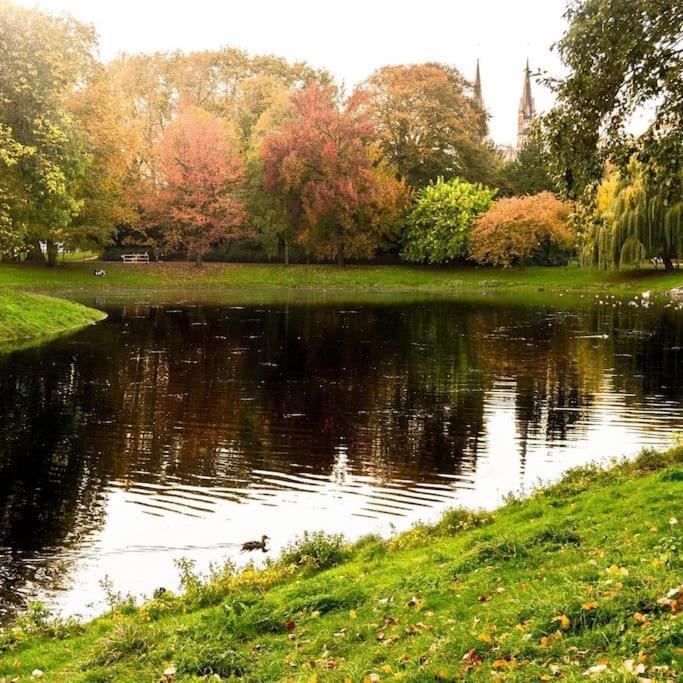Cosy Appartement Met Tuin In Centrum Antwerpen Gratis Parking Free Parking! Bagian luar foto